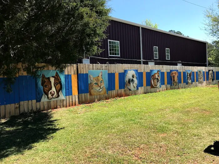 Chapin Veterinary Hospital Picture 3