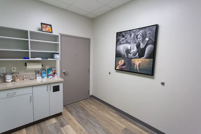 Chapin Veterinary Hospital Picture 4