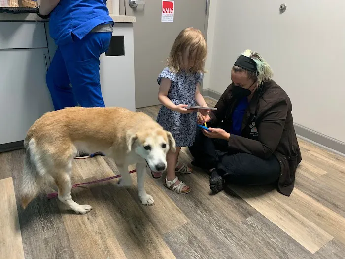 Chapin Veterinary Hospital Picture 5