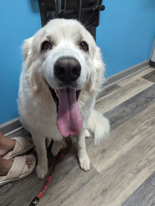 Chapin Veterinary Hospital Picture 8