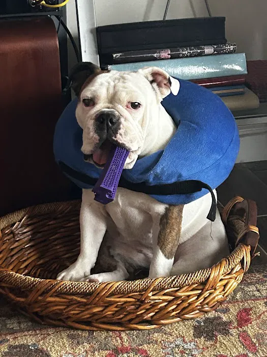 Sandhills Veterinary Hospital Picture 4