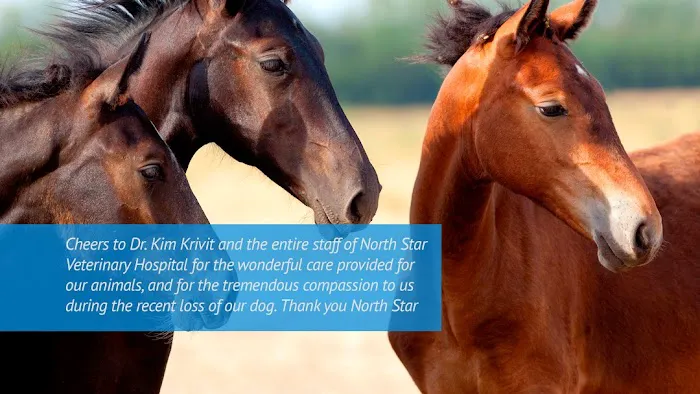 North Star Veterinary Hospital Picture 3