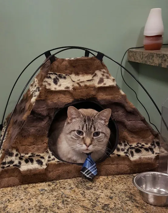 North Star Veterinary Hospital Picture 9