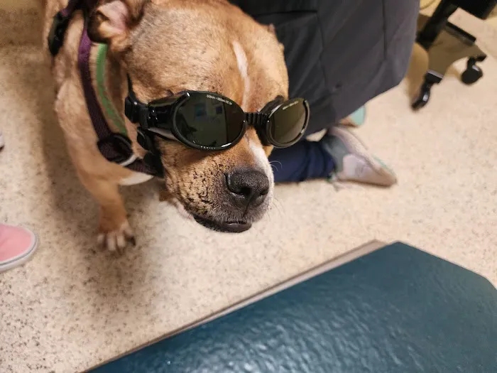 North Star Veterinary Hospital Picture 10