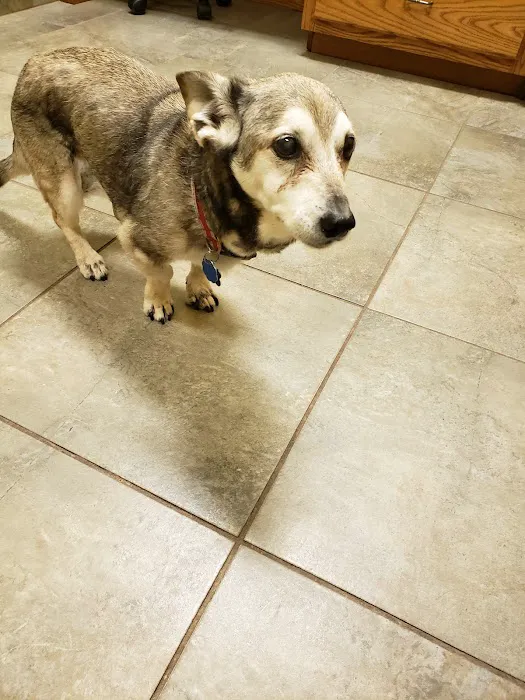 Cypress Lakes Animal Hospital Picture 2