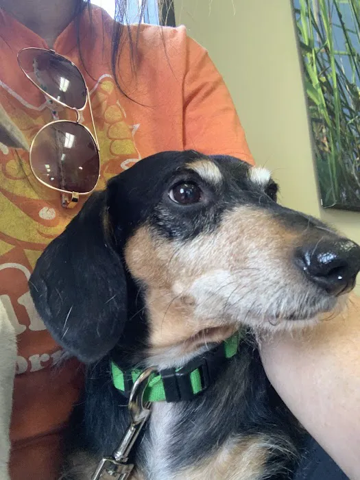 Cypress Lakes Animal Hospital Picture 3