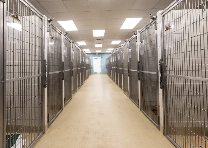 Cleveland Park Animal Hospital Simpsonville Picture 4