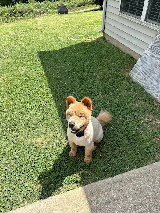 Cleveland Park Animal Hospital Simpsonville Picture 6