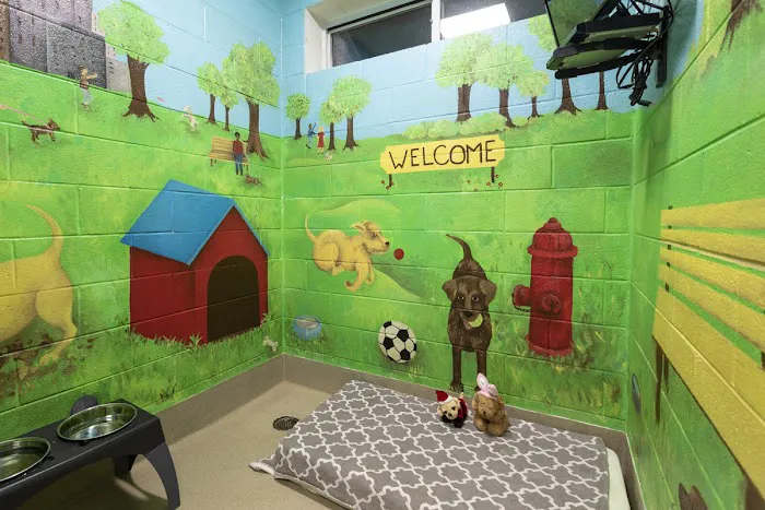 Cleveland Park Animal Hospital Simpsonville Picture 10