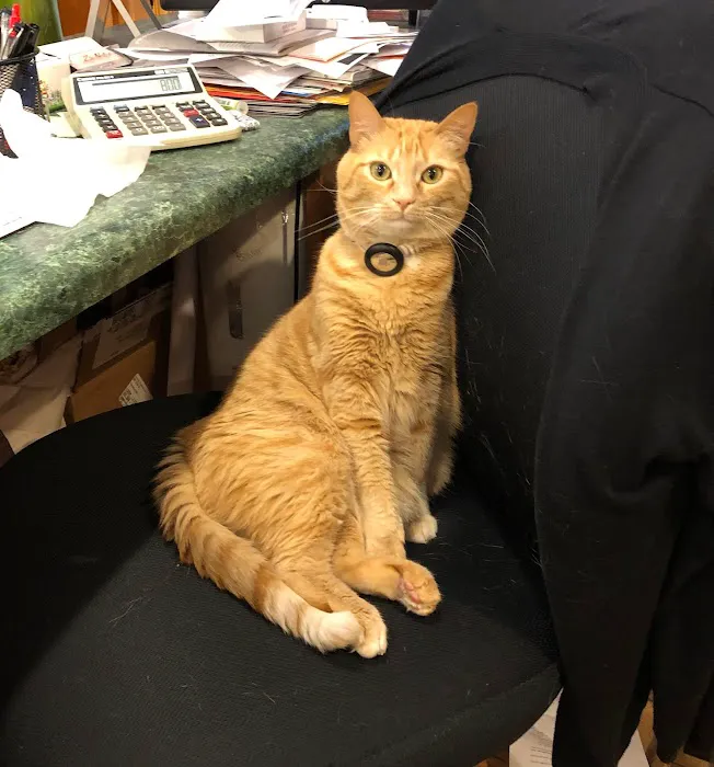 Cashiers Village Veterinary Picture 2