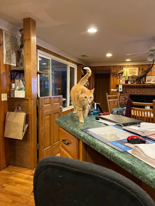 Cashiers Village Veterinary Picture 3