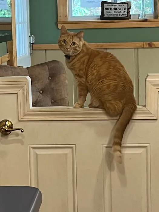 Cashiers Village Veterinary Picture 8