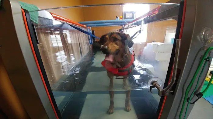ARCC - Animal Rehab & Conditioning Center Picture 3