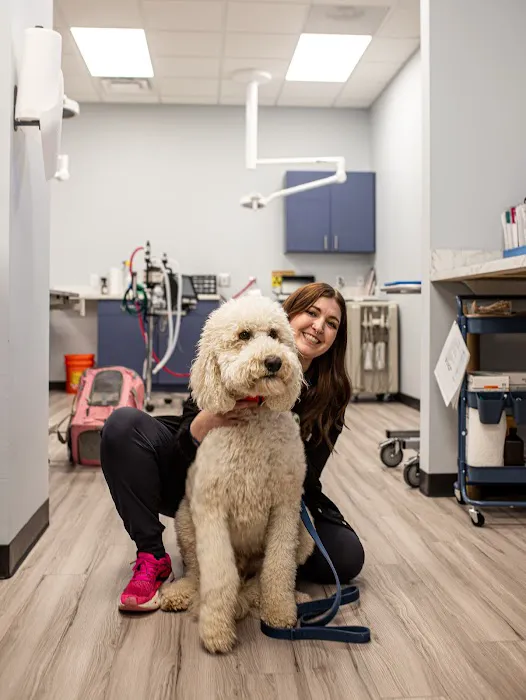 Mauldin Station Vet Picture 1