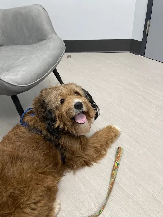 Mauldin Station Vet Picture 10