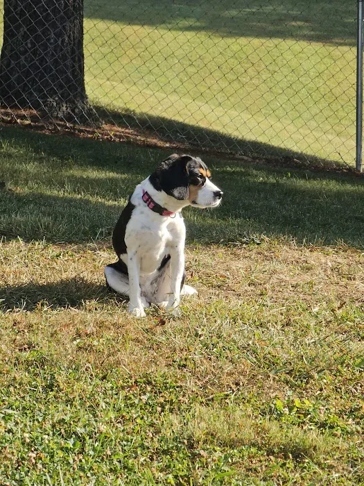 Crab Orchard Veterinary Services Picture 1