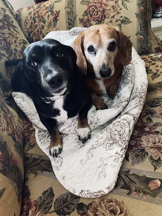 Crab Orchard Veterinary Services Picture 10