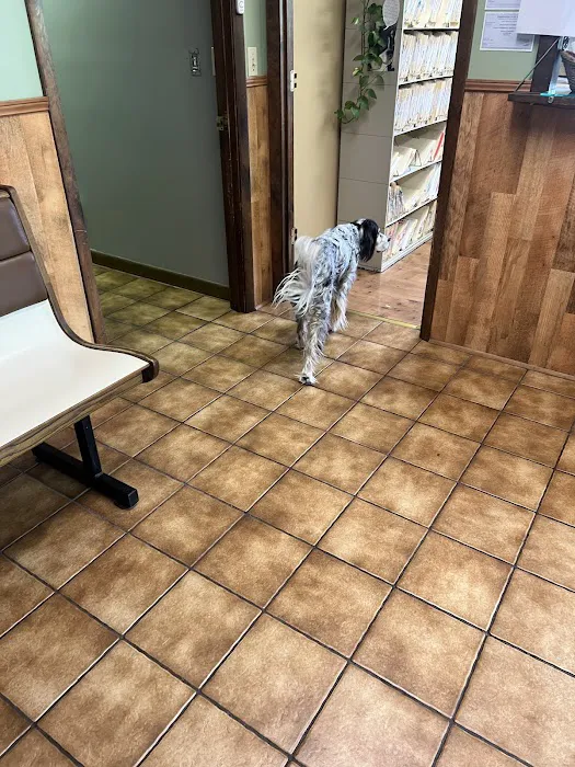 Town & Country Veterinary Hospital Picture 3