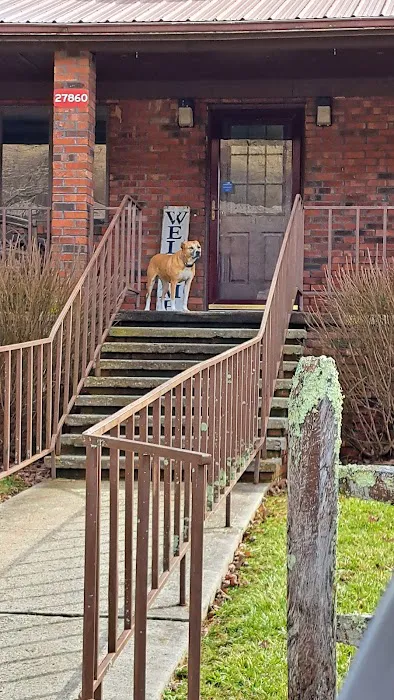 Town & Country Veterinary Hospital Picture 2