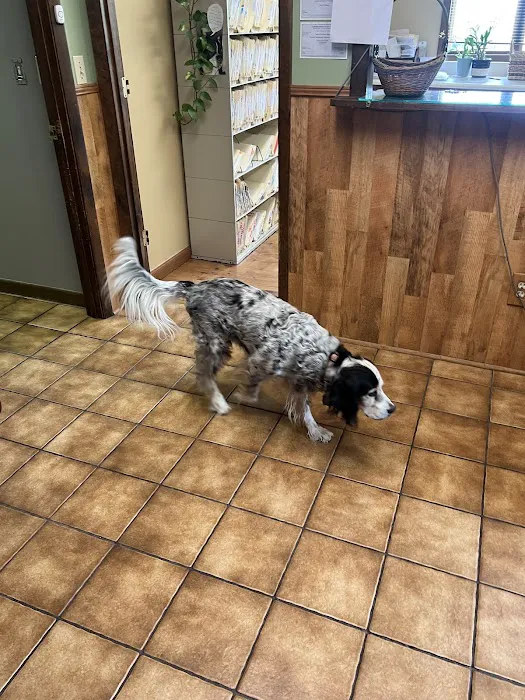 Town & Country Veterinary Hospital Picture 6