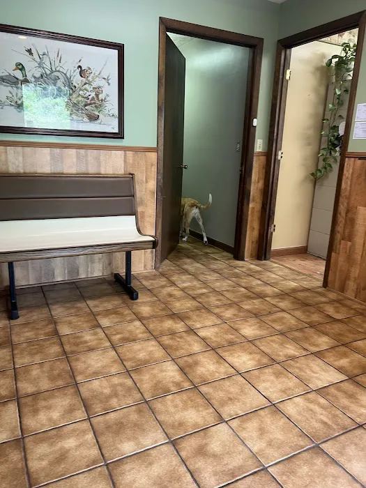 Town & Country Veterinary Hospital Picture 9