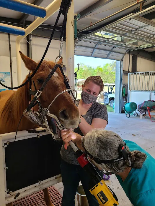 Greenville Mobile Equine Services Picture 3