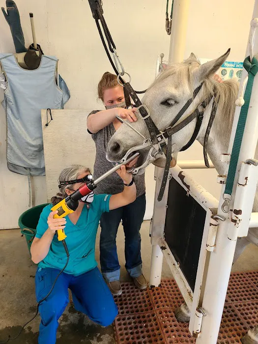Greenville Mobile Equine Services Picture 8