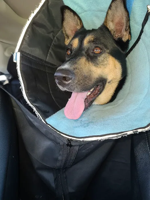 Warsaw Animal Hospital Picture 3