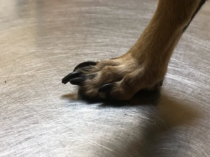Warsaw Animal Hospital Picture 5