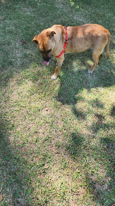 Warsaw Animal Hospital Picture 8