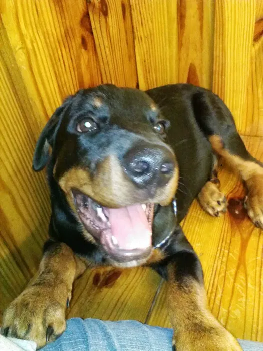 Warsaw Animal Hospital Picture 10