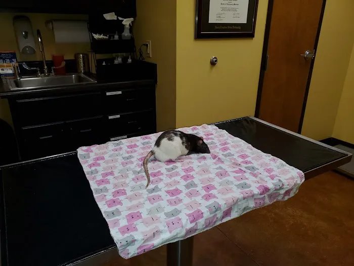 Warsaw Animal Hospital: Houston Margie E DVM Picture 2