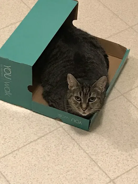 Mt Olive Animal Hospital Picture 5