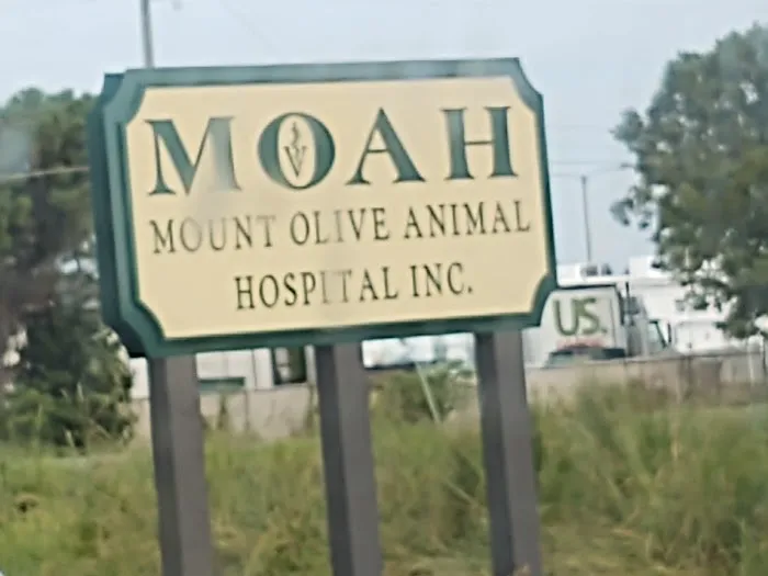 Mt Olive Animal Hospital Picture 7