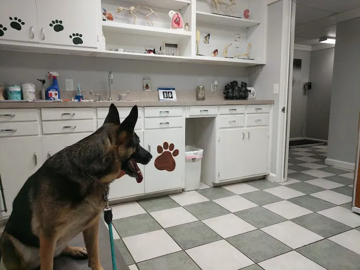 Waylin Animal Clinic Picture 6