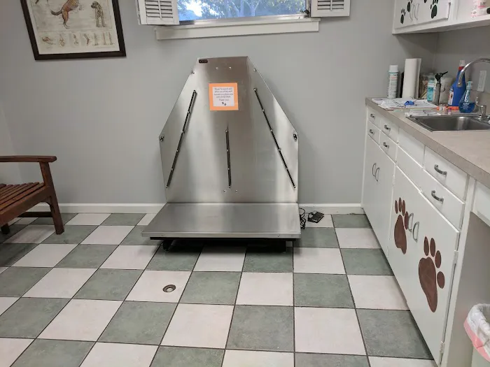 Waylin Animal Clinic Picture 5