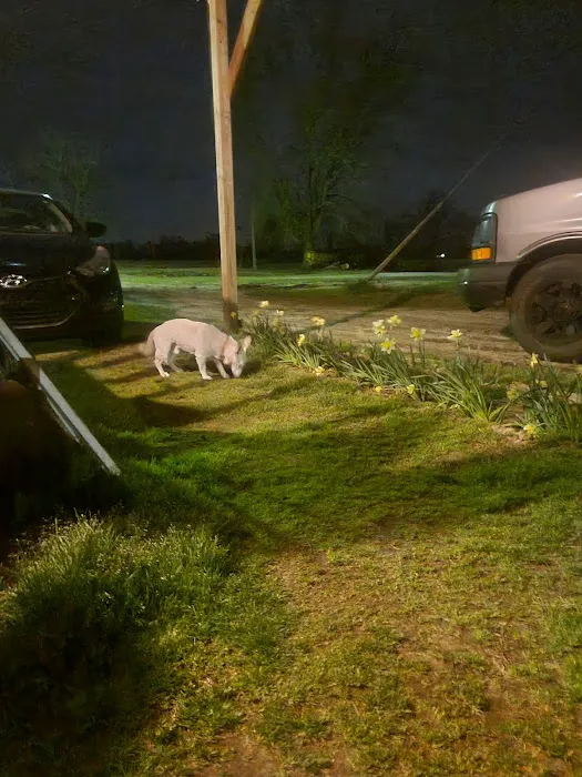 Waylin Animal Clinic Picture 8