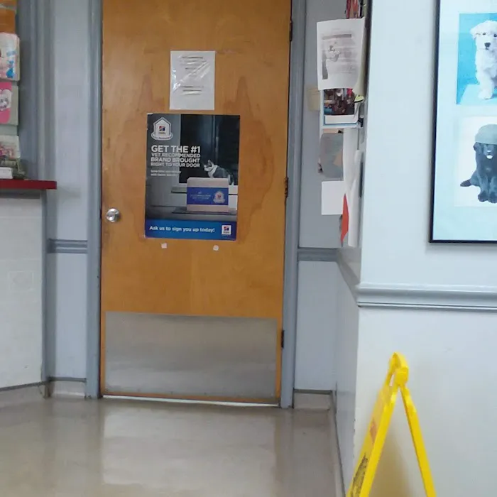Mercury Animal Hospital Inc. Picture 4