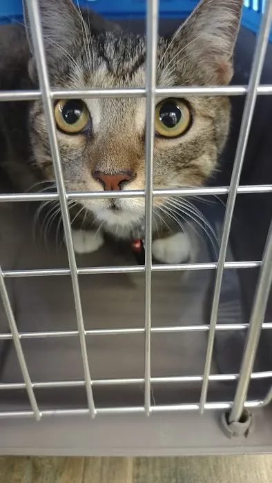Vetco Total Care Animal Hospital Picture 5
