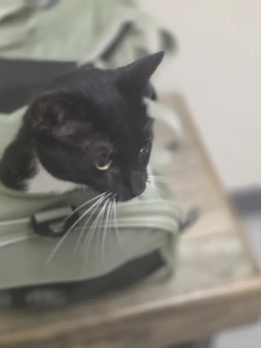 Vetco Total Care Animal Hospital Picture 6