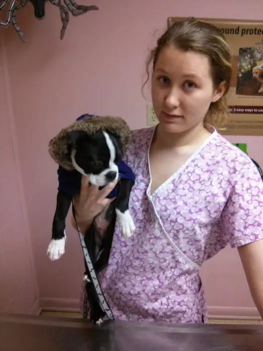 Vetco Total Care Animal Hospital Picture 7