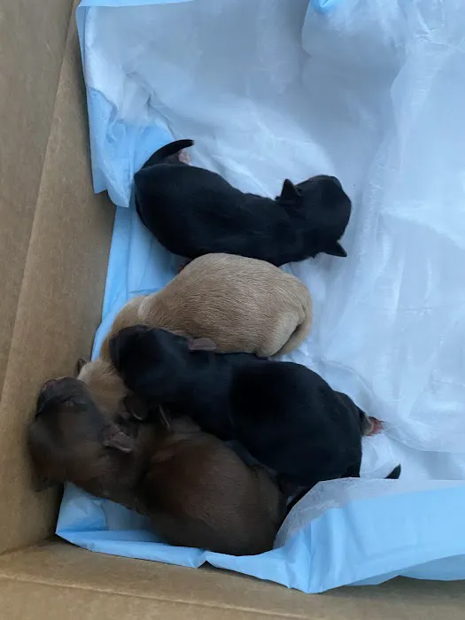 Vetco Total Care Animal Hospital Picture 8