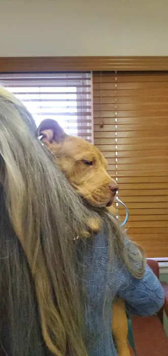 Vetco Total Care Animal Hospital Picture 10