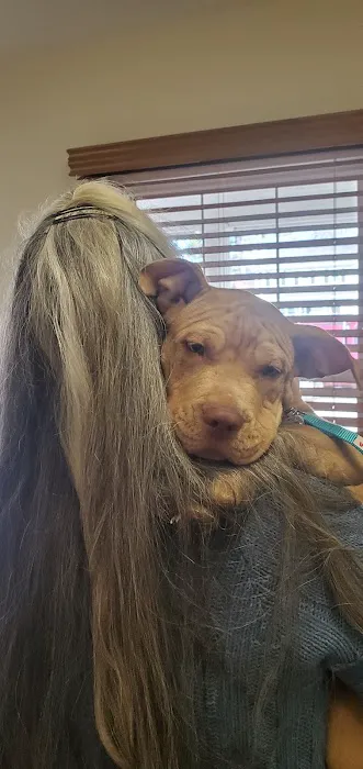 Vetco Total Care Animal Hospital Picture 9