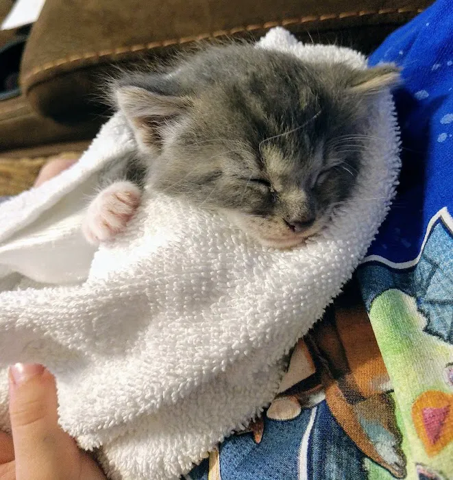 Banfield Pet Hospital Picture 4