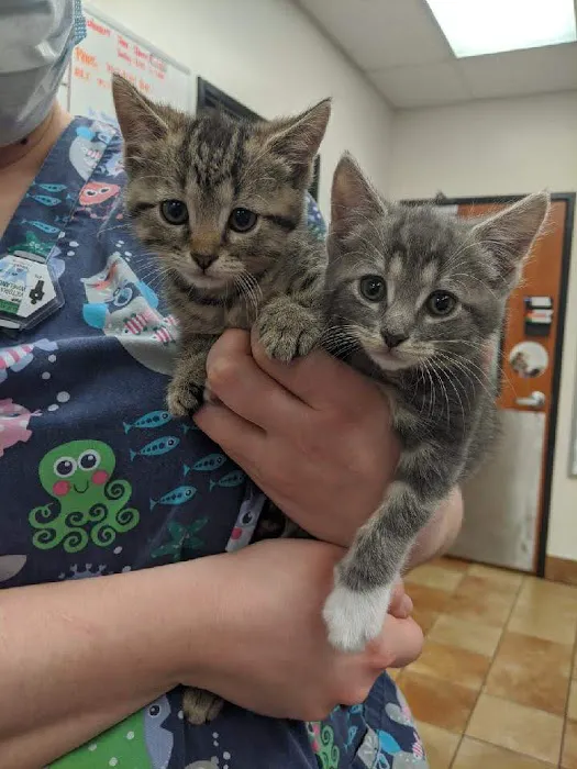 Banfield Pet Hospital Picture 9