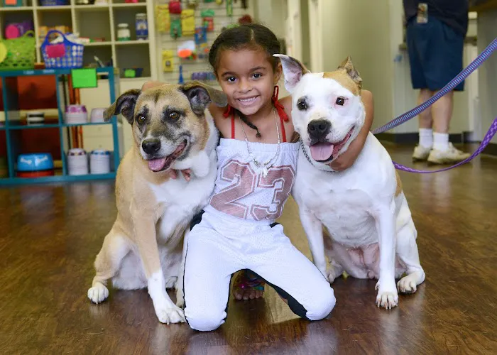 Pets In Need of Greater Cincinnati Picture 1