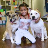 Pets In Need of Greater Cincinnati ico