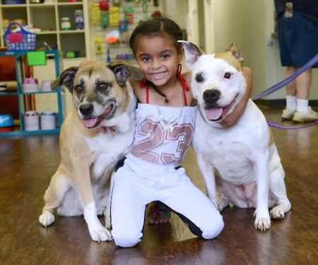 Pets In Need of Greater Cincinnati