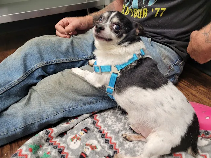 Pets In Need of Greater Cincinnati Picture 3